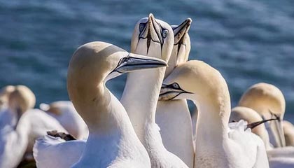 11月10日起,长沙将正式实施预告登记业务无纸化办理