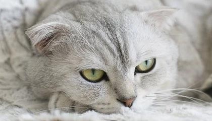 海通证券获融资买入13.05亿元，居两市第6位