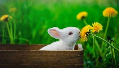 11月10日起,长沙将正式实施预告登记业务无纸化办理