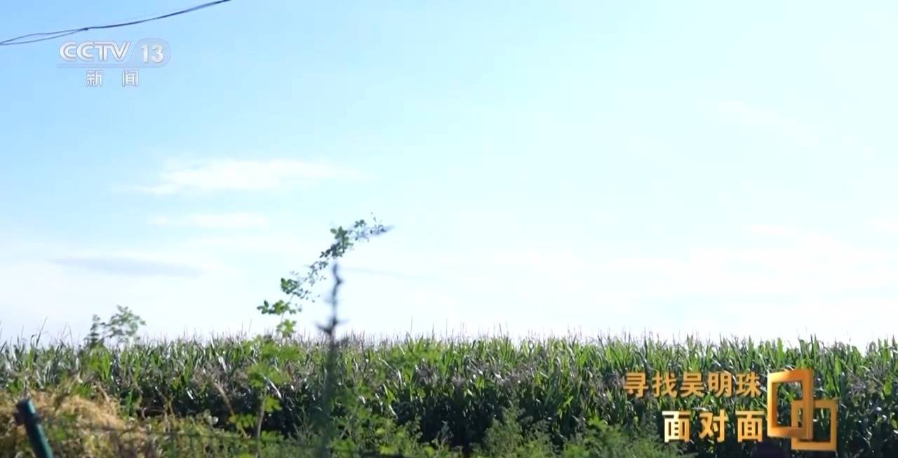 面对面丨中国人的吃瓜自由要感谢她！吴明珠说她的一生就是结几个好瓜献给人民