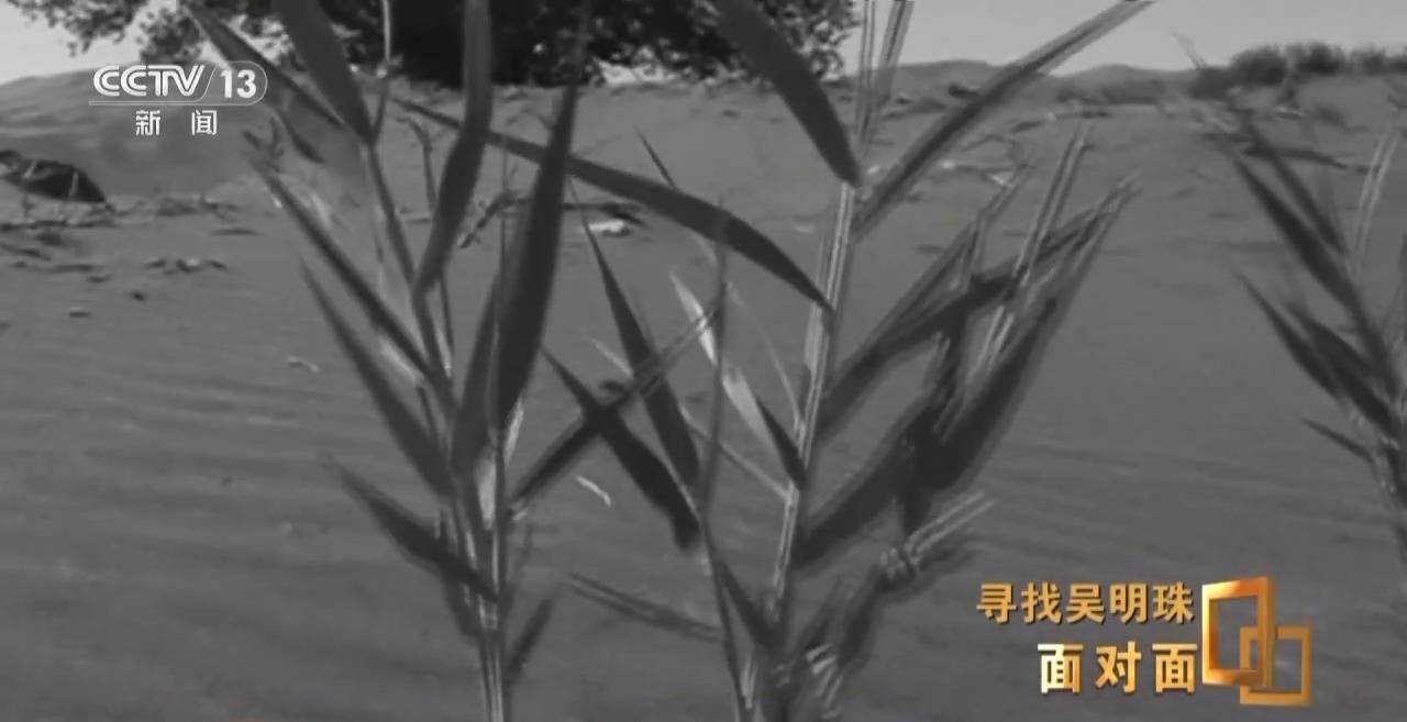 面对面丨中国人的吃瓜自由要感谢她！吴明珠说她的一生就是结几个好瓜献给人民