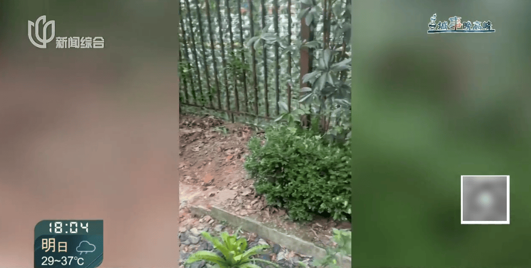 上海这对夫妇住洋房遇到“疯狂邻居”:楼道放大便