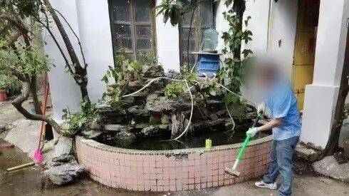 一池积水,一家四人全感染!江门各地曝光一批警示案例