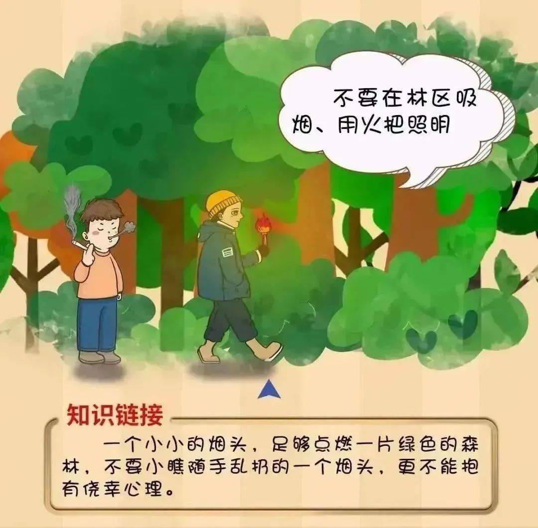 【工作动态】平安森防丨防患未“燃”,“森”生不息——森林防火安全知识宣传