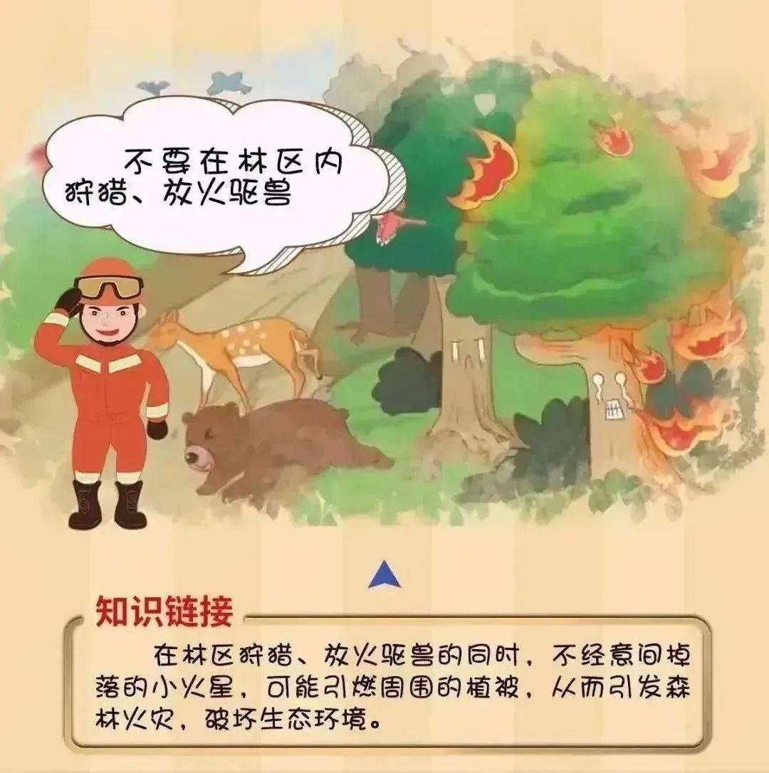 【工作动态】平安森防丨防患未“燃”,“森”生不息——森林防火安全知识宣传