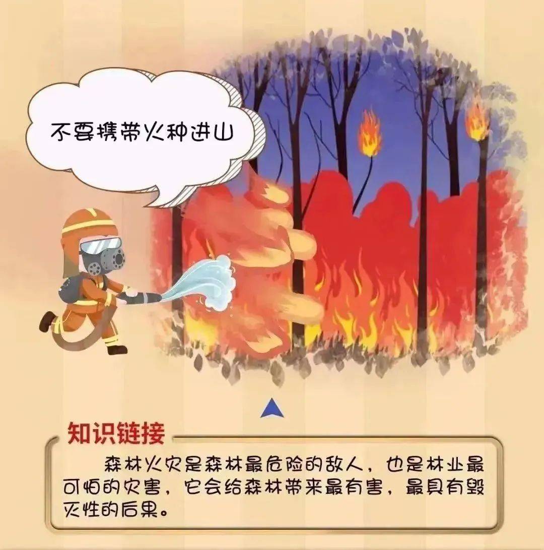 【工作动态】平安森防丨防患未“燃”,“森”生不息——森林防火安全知识宣传