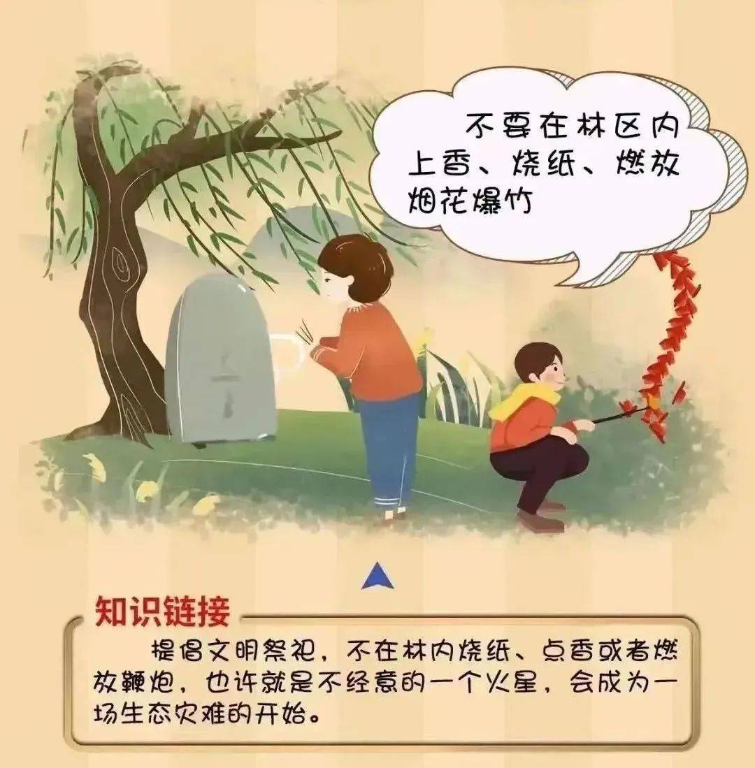 【工作动态】平安森防丨防患未“燃”,“森”生不息——森林防火安全知识宣传