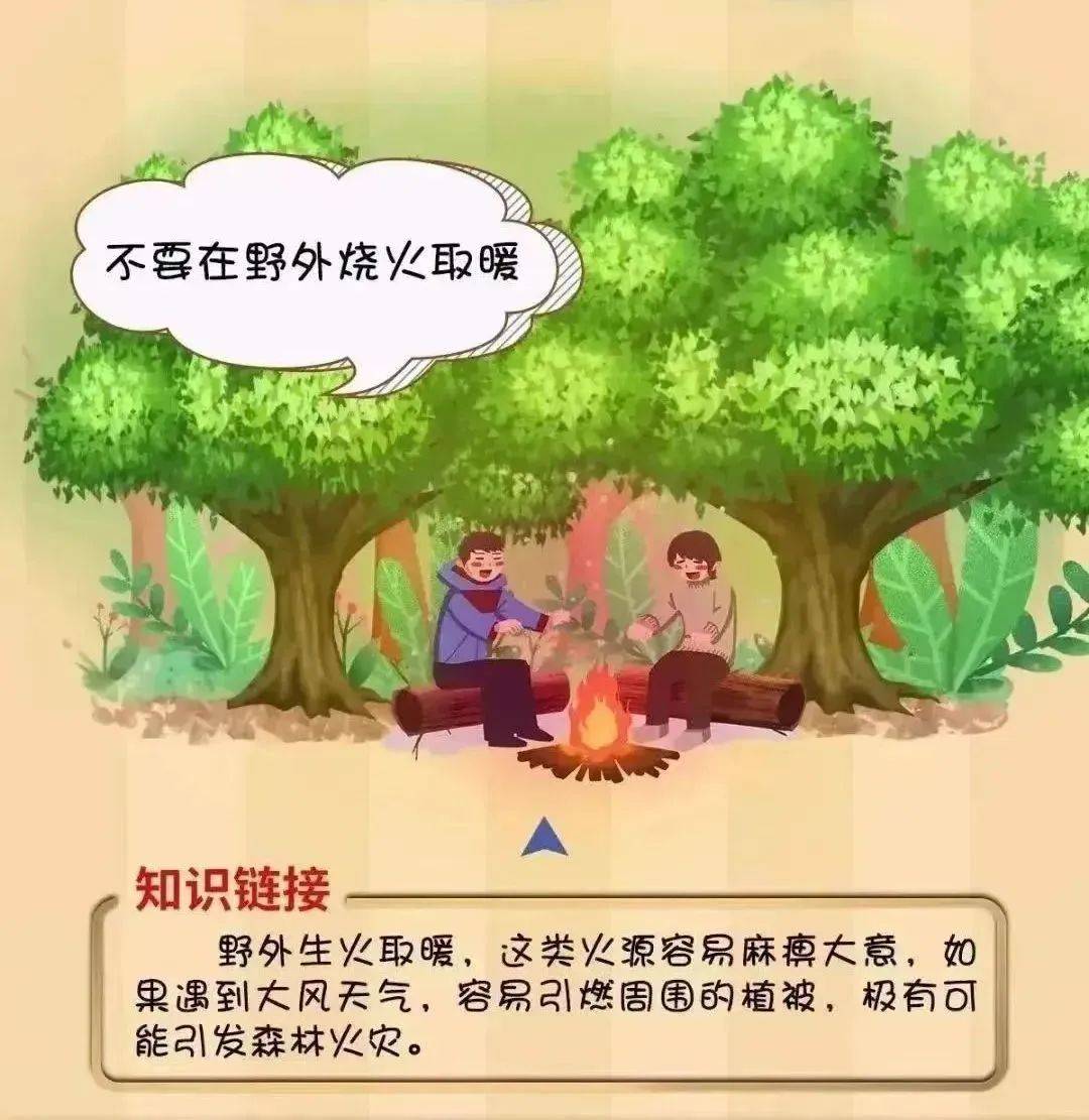 【工作动态】平安森防丨防患未“燃”,“森”生不息——森林防火安全知识宣传