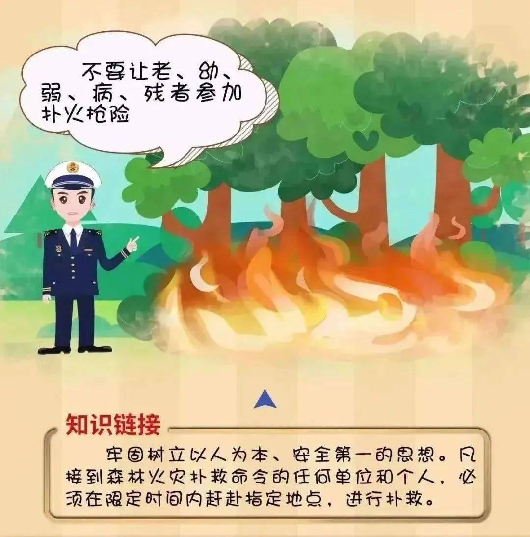 【工作动态】平安森防丨防患未“燃”,“森”生不息——森林防火安全知识宣传