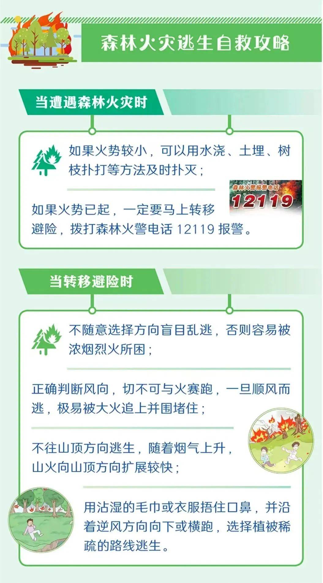 【工作动态】平安森防丨防患未“燃”,“森”生不息——森林防火安全知识宣传