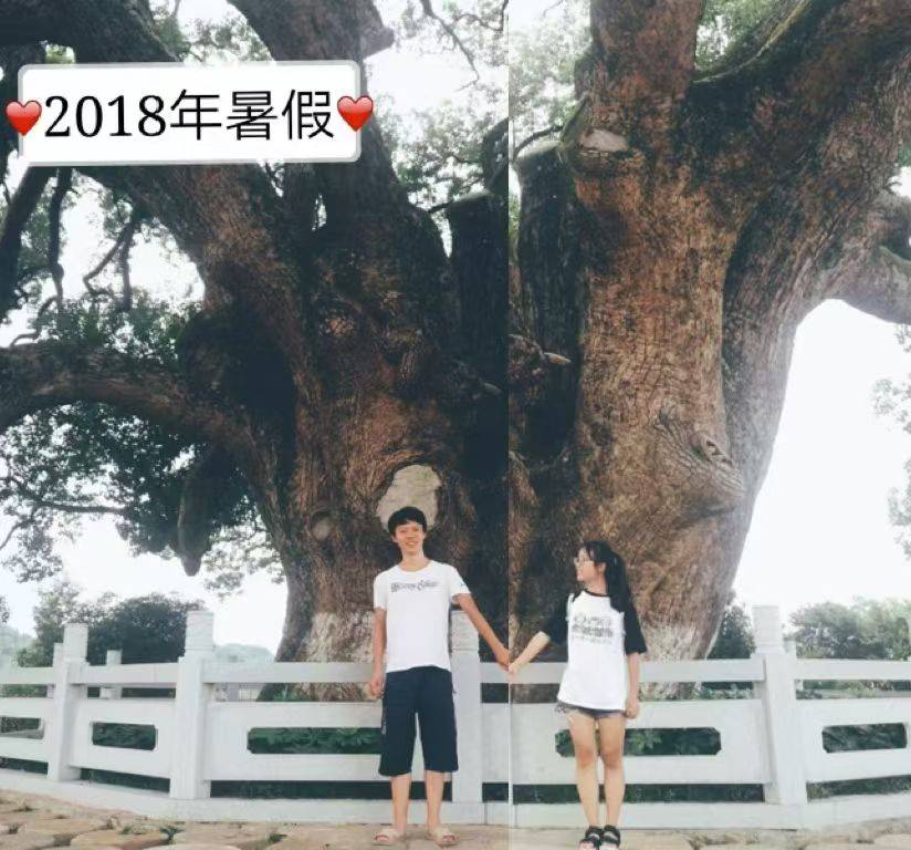 岳阳情侣连续9年在家乡千年古樟树下合影,今年国庆终修正果:希望爱情像古树一样长久