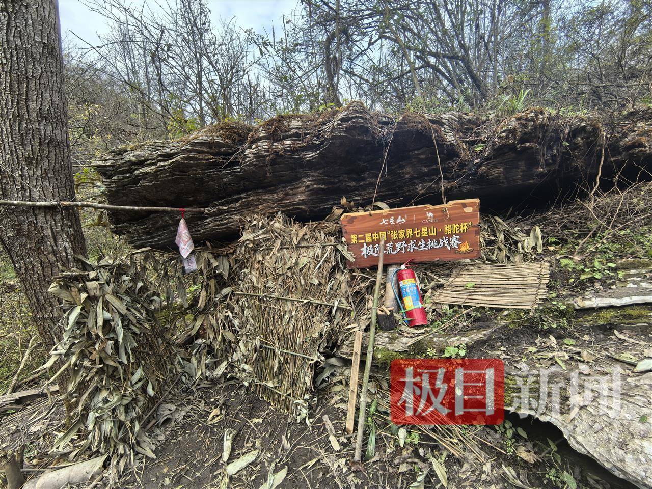 实探张家界荒野求生选手“苗王”的庇护所：堆着大量猕猴桃等野果，一个多月他只瘦了10多斤