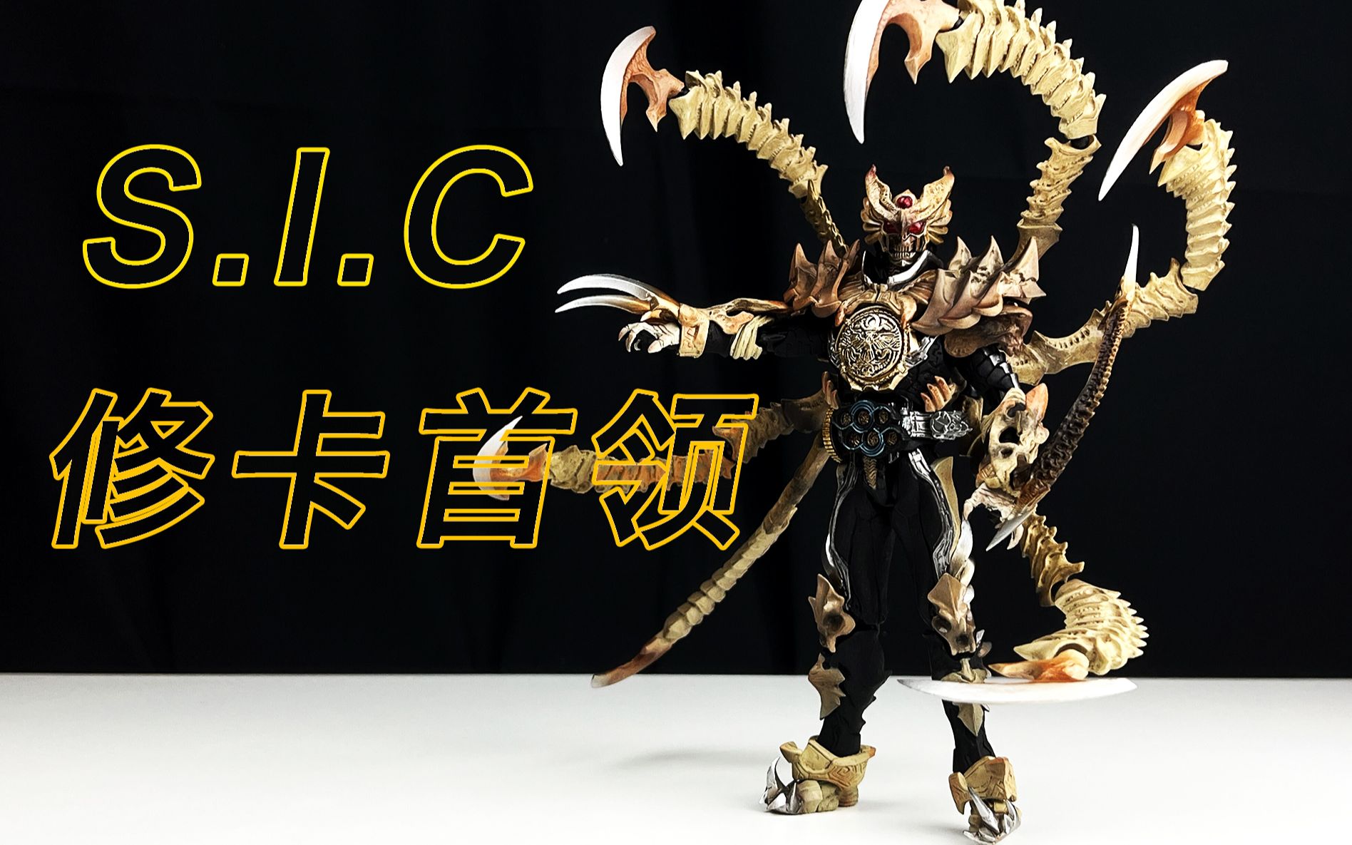 sic币(sic编码)