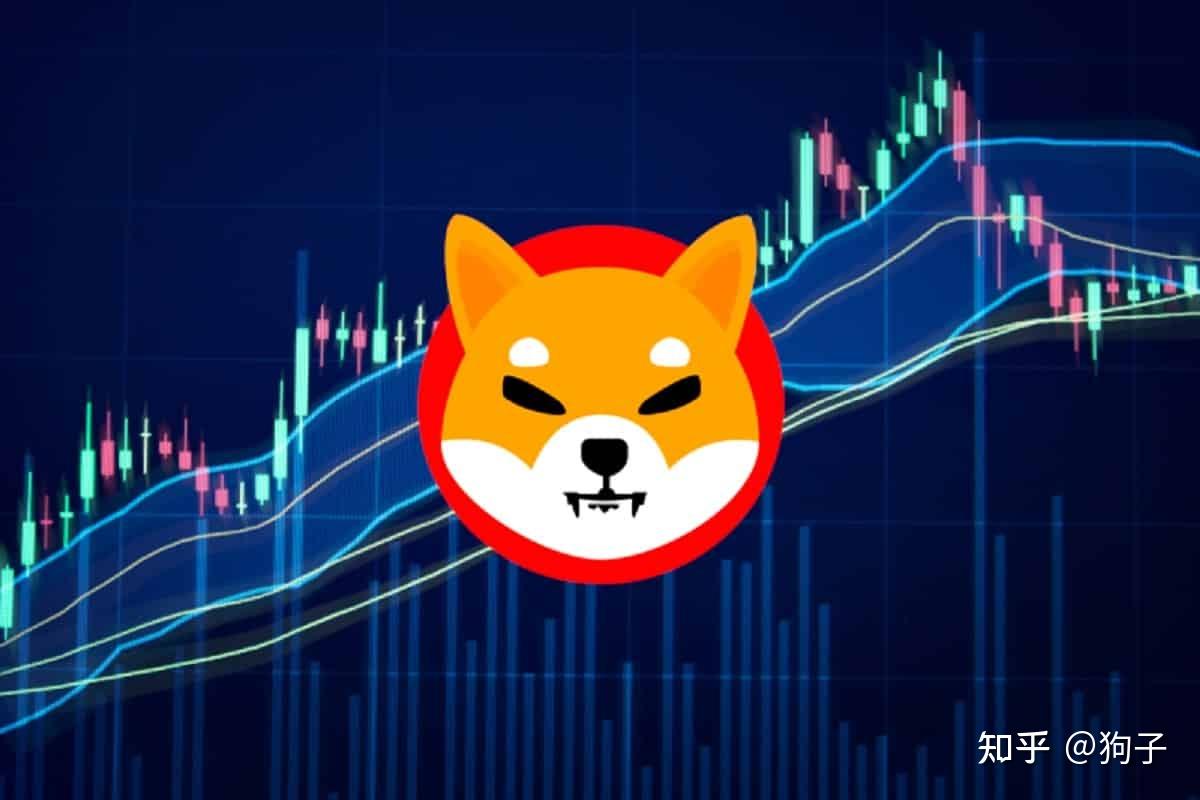 元界币(元界币是骗局揭秘)